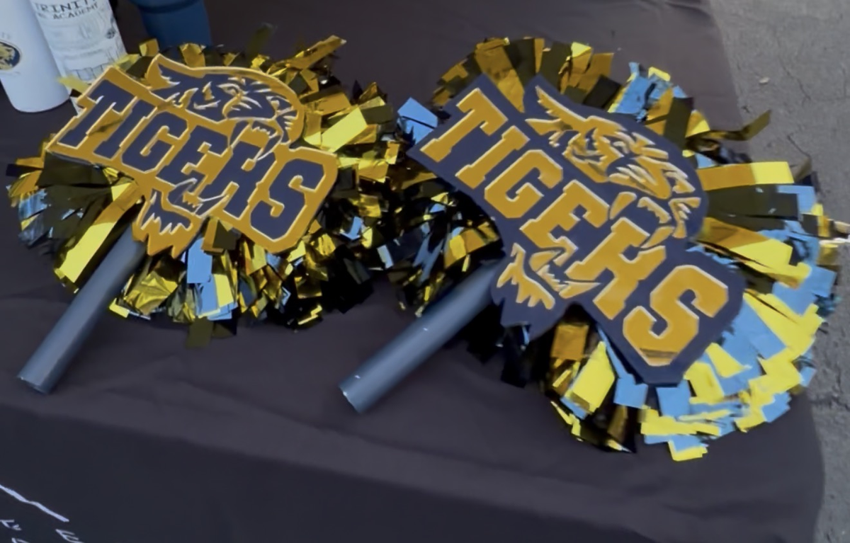 Tigers spirit sticks with gold poms