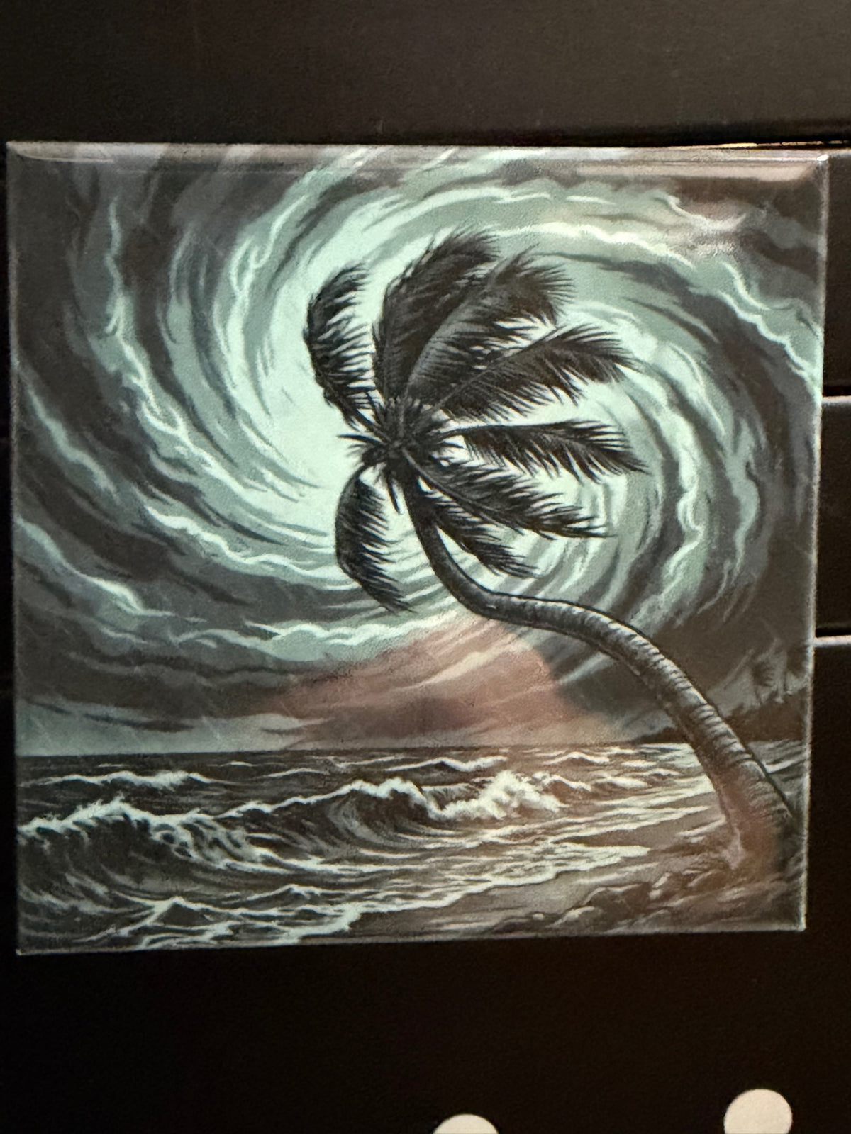 Hurricane Palm Photo Magnet