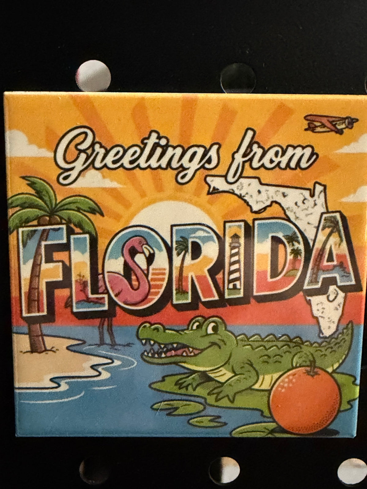 Greetings from Florida Photo Magnet